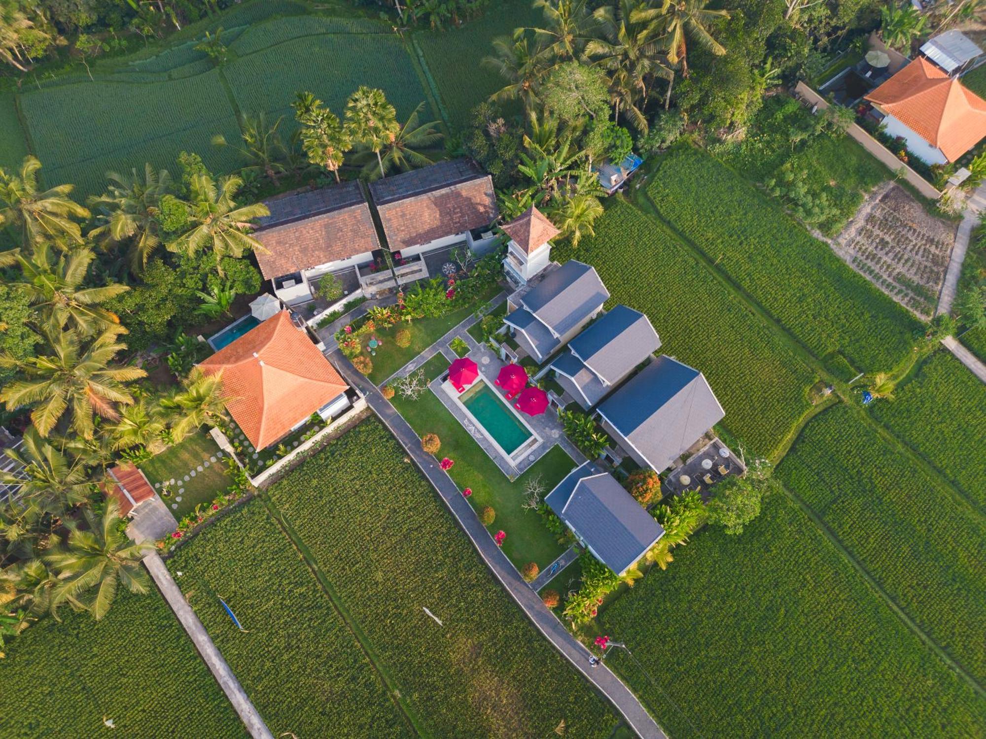 Niniku Ubud Villas 외부 사진