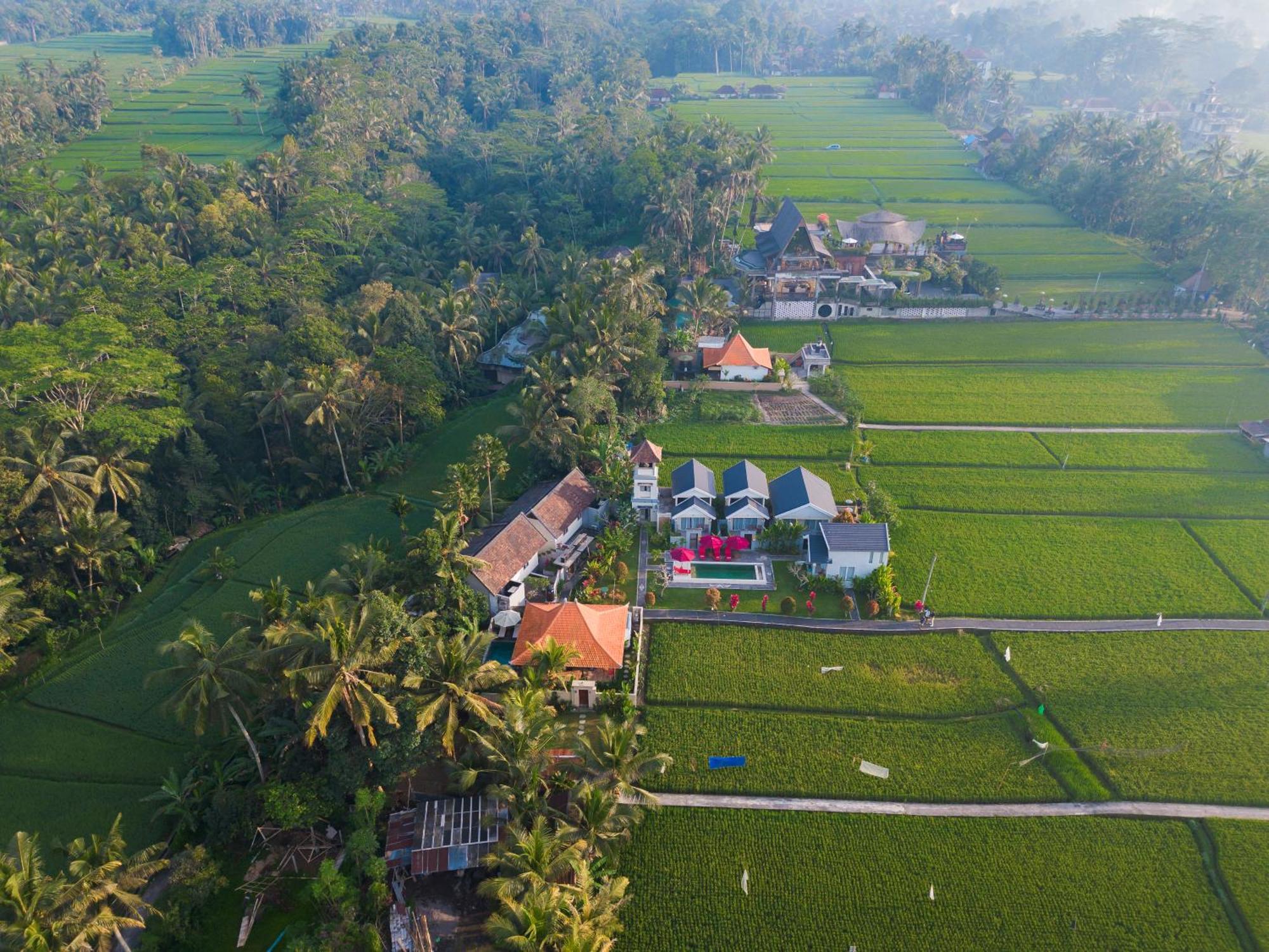Niniku Ubud Villas 외부 사진